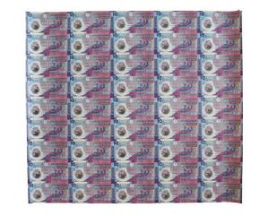 香港10元塑質整版鈔 香港10元塑質整版鈔