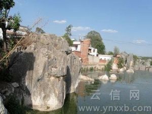 位於石林的古老村落五棵樹村