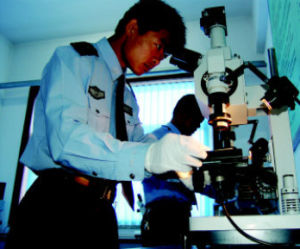 刑事偵查 刑事偵查