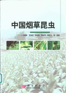 中國菸草昆蟲 中國菸草昆蟲