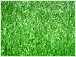 草坪植物 草坪植物