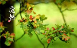 處暑[左河水節氣詩]