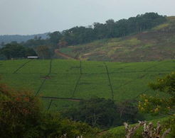 基巴萊區 基巴萊區