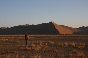 （圖）納米比沙漠