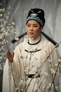 《陸游與唐琬》飾陸游