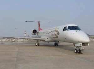 安慶天柱山機場