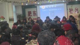 鎮南社區[安徽省合肥市肥東縣店埠鎮鎮南社區]