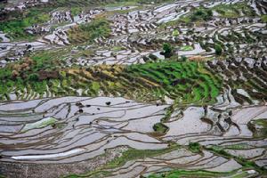 風光美麗的尤溪梯田