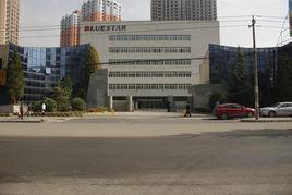 藍星清洗股份有限公司 藍星清洗股份有限公司