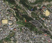 戴斯蒙德&middot;道斯