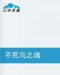 不死鳥之魂 不死鳥之魂
