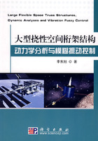 大型撓性空間桁架結構動力學分析與模糊振動控制