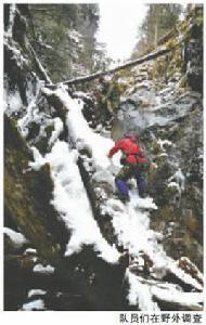 全國第四次大熊貓調查 全國第四次大熊貓調查