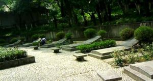 菊花台[南京市]