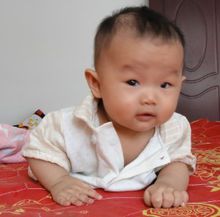 八個月是爬行的重要時期