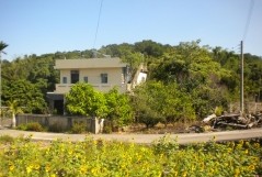 沿途的田野風光