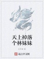 天上掉落個林妹妹 天上掉落個林妹妹