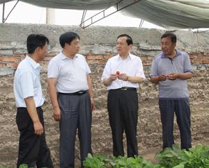 農十二師三坪農場 農十二師三坪農場