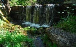 松山森林旅遊公園 松山森林旅遊公園