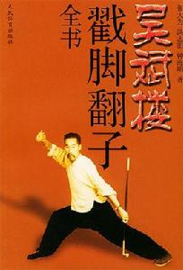 吳斌樓戳腳翻子全書