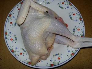 家禽脫毛機脫毛後的雞