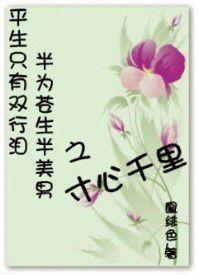 寸心千里 寸心千里