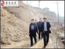 甘肅省秦安縣王窯鄉石溝村一角