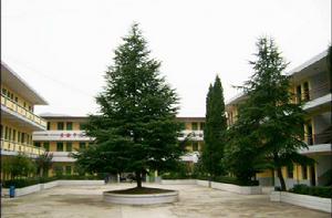 旬陽縣城關第一初級中學 旬陽縣城關第一初級中學