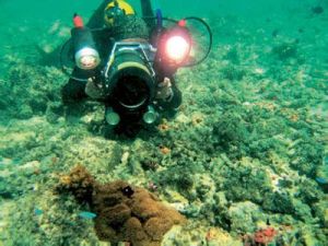 水中攝像 水中攝像