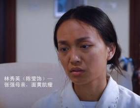 山茶花開 山茶花開