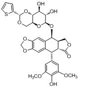替尼泊苷 替尼泊苷