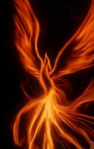 火鳳凰[神話傳說中的神鳥]