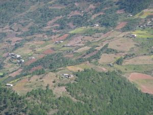 小鋼廠自然村 小鋼廠自然村