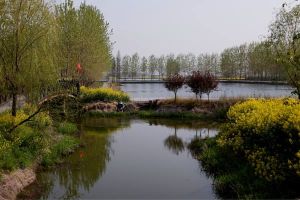 徐馬荒原生態風景區 徐馬荒原生態風景區