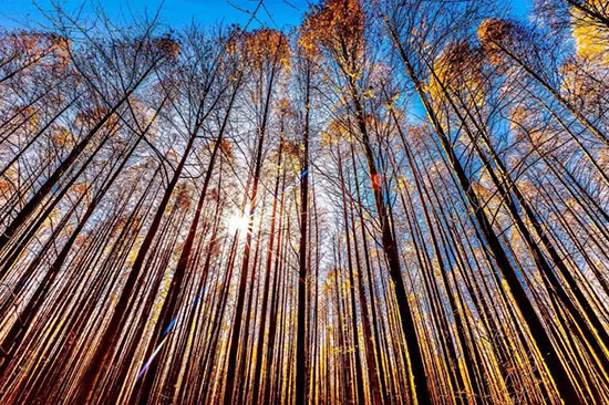 比“楓葉大道”美1000倍，重慶這條自駕路終於要火了！