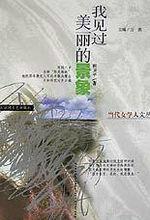 我見過美麗的景象 我見過美麗的景象