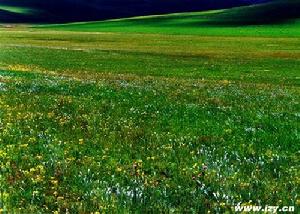 賽罕烏拉保護區 賽罕烏拉保護區