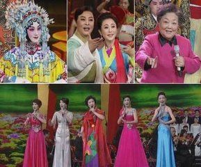 戲曲演唱 戲曲演唱