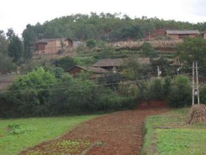 尹家坪村 尹家坪村