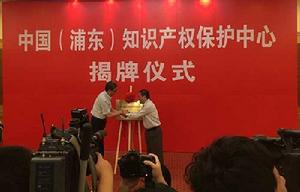 中國(浦東)智慧財產權保護中心 中國(浦東)智慧財產權保護中心