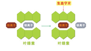 瑞克生血寧片研發思路