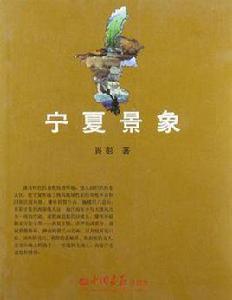 寧夏景象 寧夏景象