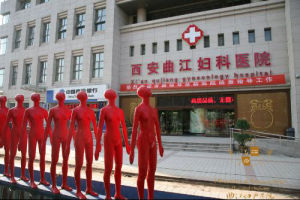 曲江婦產醫院 曲江婦產醫院