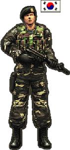 《特種部隊》[網路遊戲]