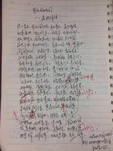 作者手稿《遠逝輝煌》