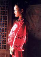 我心飛翔[陳道明、李小璐主演電影]