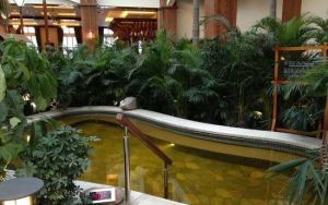 湯聖瑤池溫泉會館