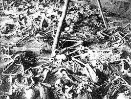 平頂山慘案 平頂山慘案