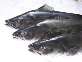 銀鱈魚 銀鱈魚