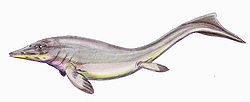 （圖）短尾魚龍，生存於三疊紀早期的斯匹茲卑爾根